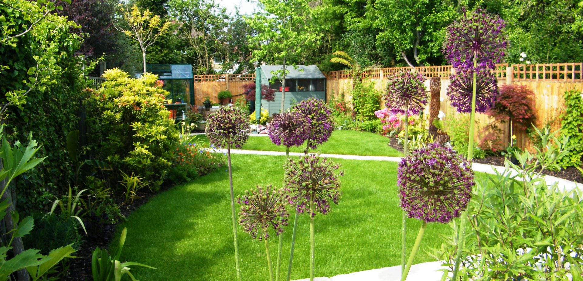 Family garden design in Beckenham with lawn, patio and planting borders