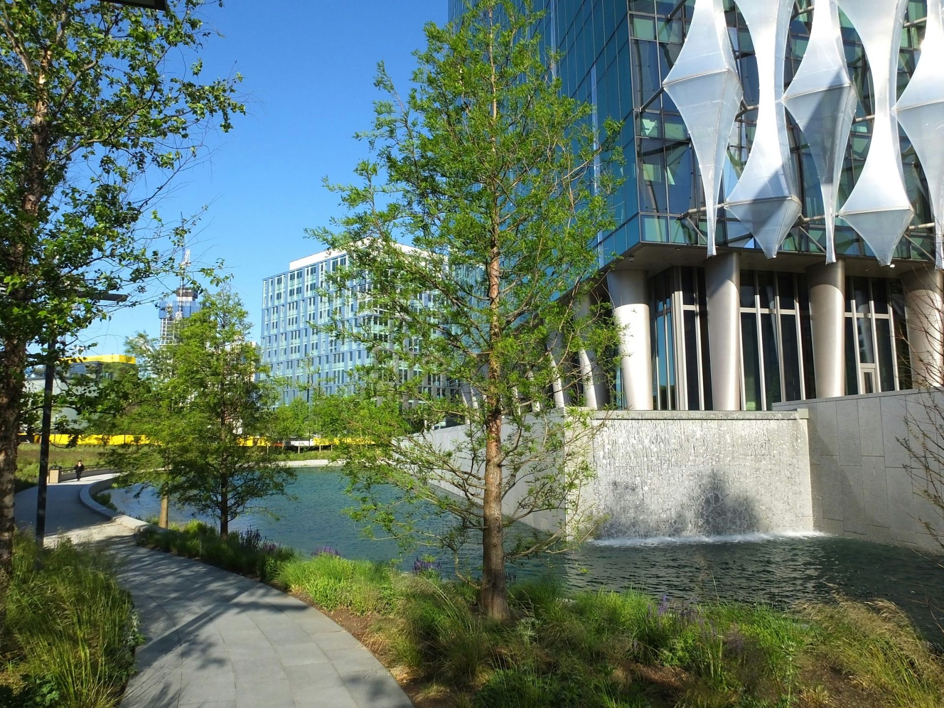 Commercial garden design outdoor space