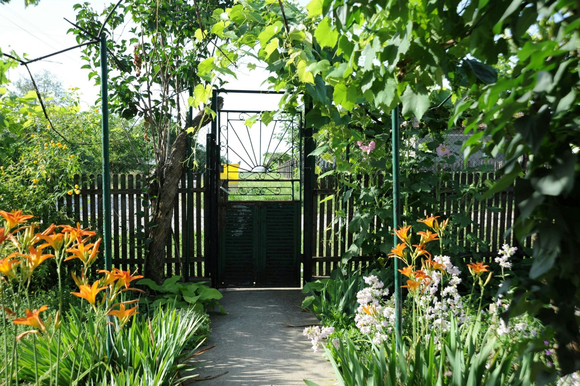 Front garden design with structured evergreen planting and permeable paving in South East England