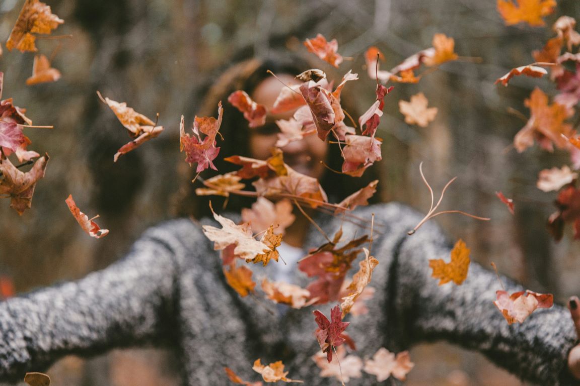 Essential Garden Jobs for Autumn: Preparing Your Garden for the Seasons Ahead